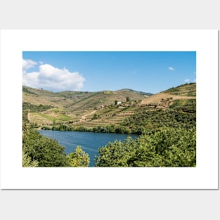 Vineyars in Douro Valley Posters and Art